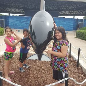 Meet your Posher, Shawn